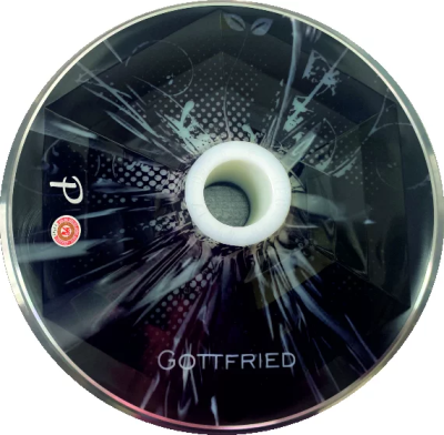 Gottfried Evo "Abstract-grau-schwarz" Eisstock